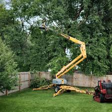 Lawn Watering Services in Walters, OK