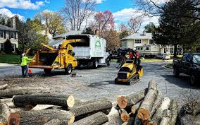 Best Tree Maintenance Programs  in Walters, OK