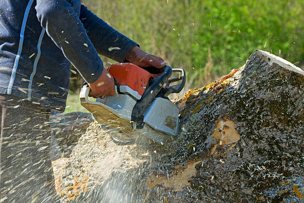 Best Lawn Watering Services  in Walters, OK